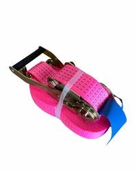 Roze spanband 9 meter / 5000daN